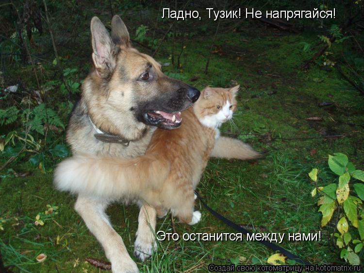 Ладно, Тузик! Не напрягайся! Это останится между нами!... Котоматрица: Ладно, Тузик! Не напрягайся! Это останится между нами!