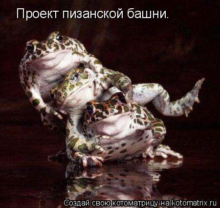 Проект пизанской башни.... Котоматрица: Проект пизанской башни.