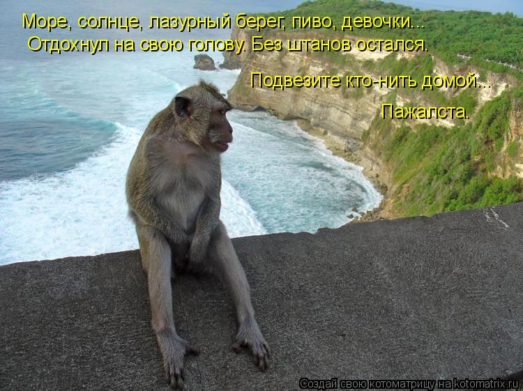 Море, солнце, лазурный берег, пиво, девочки... Подвезите кто-нить домой... Пажалста. Отдохнул на свою... Котоматрица: Море, солнце, лазурный берег, пиво, девочки... Подвезите кто-нить домой... Пажалста. Отдохнул на свою голову. Без штанов остался.
