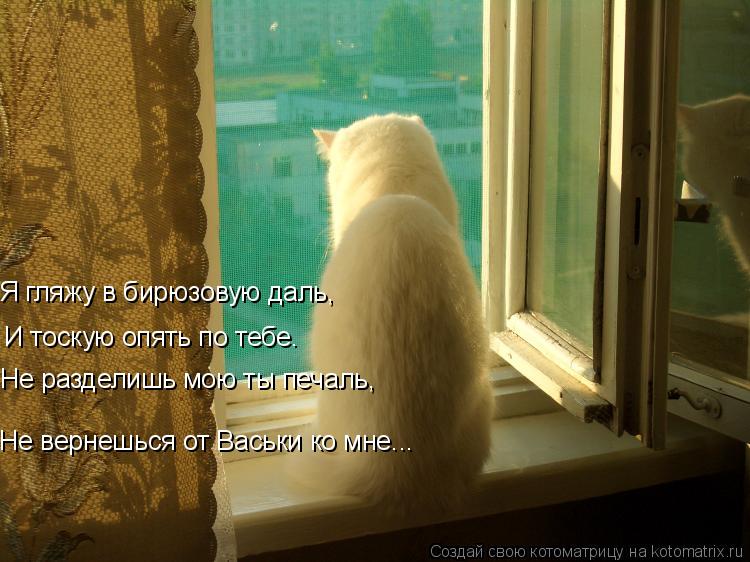 Котоматрица: Я гляжу в бирюзовую даль, И тоскую опять по тебе. Не разделишь мою ты печаль, Не вернешься от Васьки ко мне...