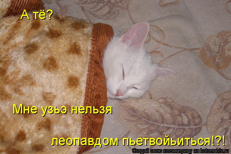Котоматрица: А тё?  Мне узьэ нельзя  леопавдом пьетвойьиться!?!