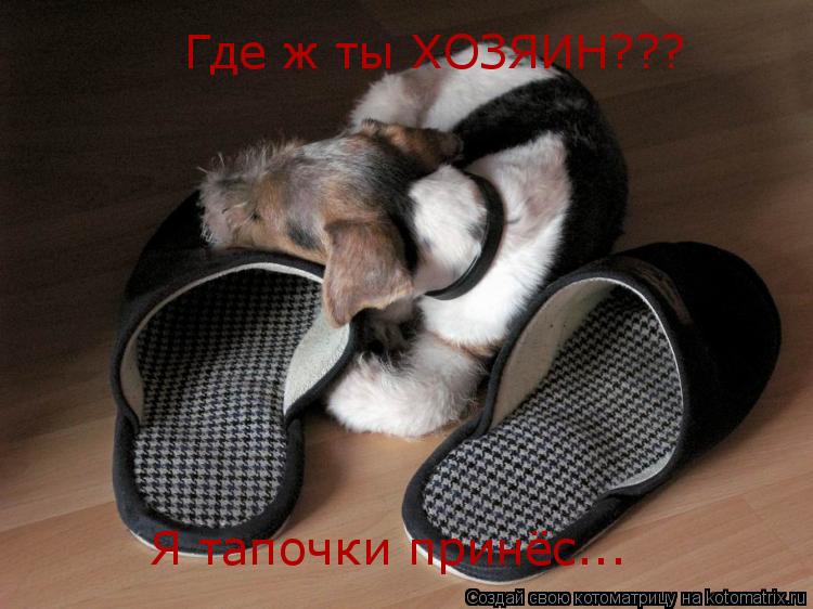 Где ж ты ХОЗЯИН??? Я тапочки принёс...... Котоматрица: Где ж ты ХОЗЯИН??? Я тапочки принёс...