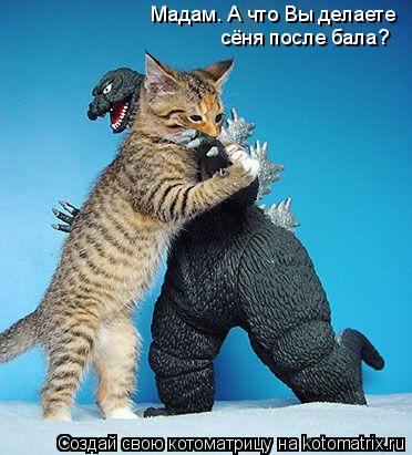 Котоматрица: Мадам. А что Вы делаете  сёня после бала?