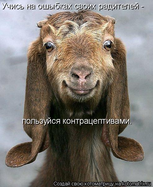 Учись на ошыбках своих радителей - пользуйся контрацептивами.... Котоматрица: Учись на ошыбках своих радителей - пользуйся контрацептивами.