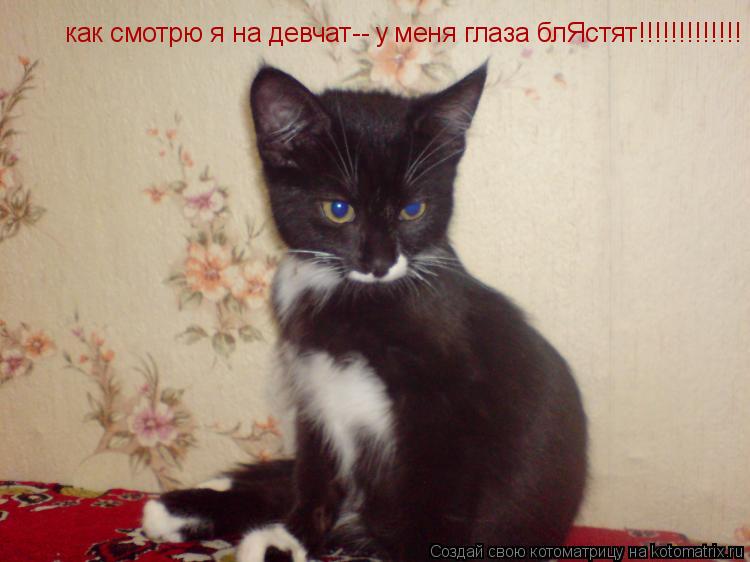 как смотрю я на девчат-- у меня глаза блЯстят!!!!!!!!!!!!!... Котоматрица: как смотрю я на девчат-- у меня глаза блЯстят!!!!!!!!!!!!!