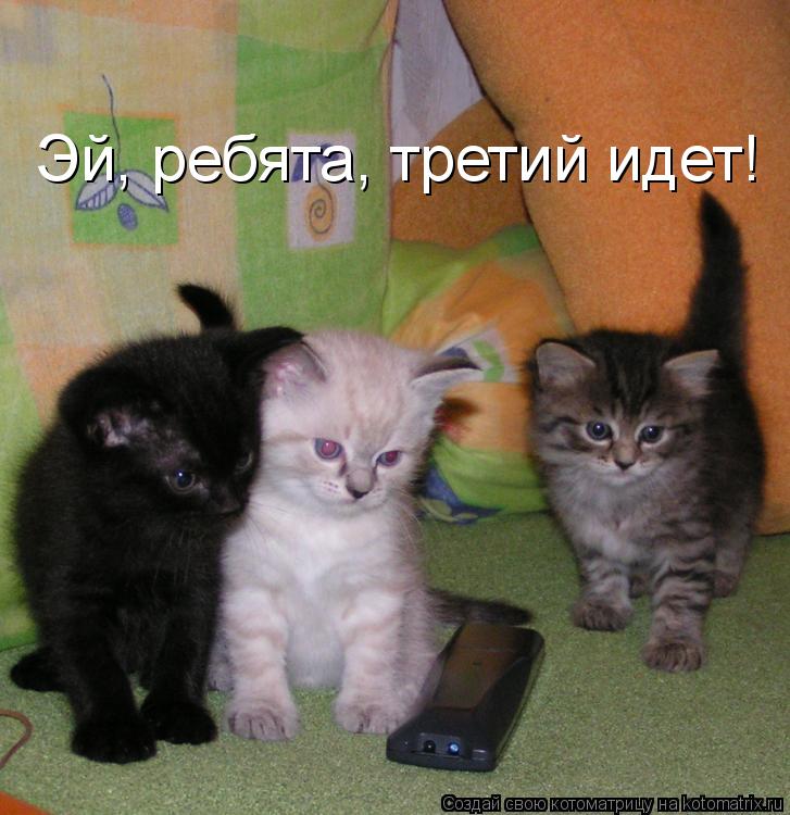 Эй, ребята, третий идет!... Котоматрица: Эй, ребята, третий идет!