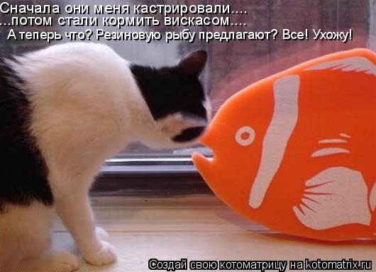 Сначала они меня кастрировали.... ...потом стали кормить вискасом.... А теперь что? Резиновую рыбу пр... Котоматрица: Сначала они меня кастрировали.... ...потом стали кормить вискасом.... А теперь что? Резиновую рыбу предлагают? Все! Ухожу!
