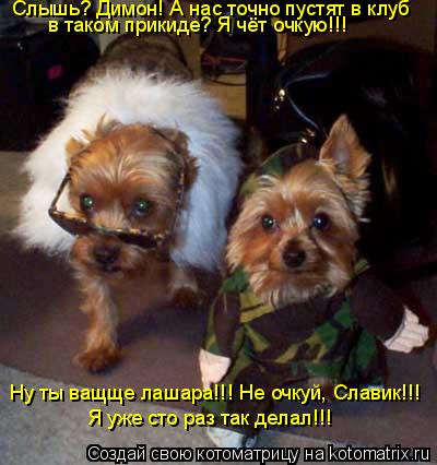 Слышь? Димон! А нас точно пустят в клуб в таком прикиде? Я чёт очкую!!! Ну ты ващще лашара!!! Не очку... Котоматрица: Слышь? Димон! А нас точно пустят в клуб в таком прикиде? Я чёт очкую!!! Ну ты ващще лашара!!! Не очкуй, Славик!!! Я уже сто раз так делал!!!
