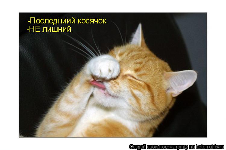 -Последниий косячок. -НЕ лишний.... Котоматрица: -Последниий косячок. -НЕ лишний.