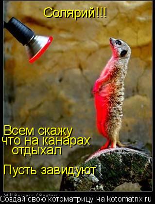 Солярий!!! Всем скажу что на канарах отдыхал Пусть завидуют... Котоматрица: Солярий!!! Всем скажу что на канарах отдыхал Пусть завидуют