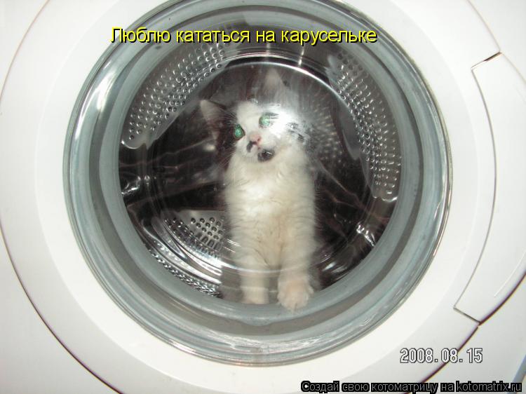 Люблю кататься на карусельке... Котоматрица: Люблю кататься на карусельке