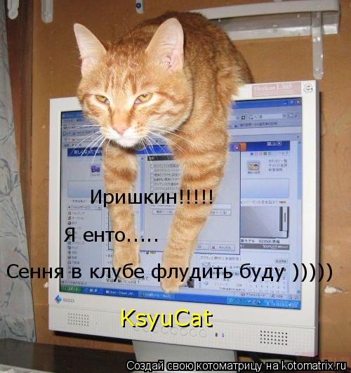 Иришкин!!!!! Я енто..... Сення в клубе флудить буду ))))) KsyuCat... Котоматрица: Иришкин!!!!! Я енто..... Сення в клубе флудить буду ))))) KsyuCat