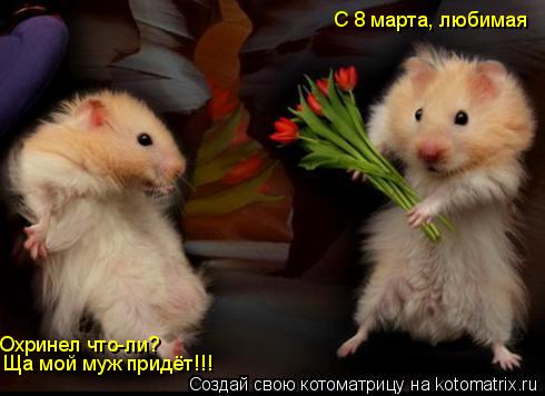С 8 марта, любимая Охринел что-ли? Ща мой муж придёт!!!... Котоматрица: С 8 марта, любимая Охринел что-ли? Ща мой муж придёт!!!