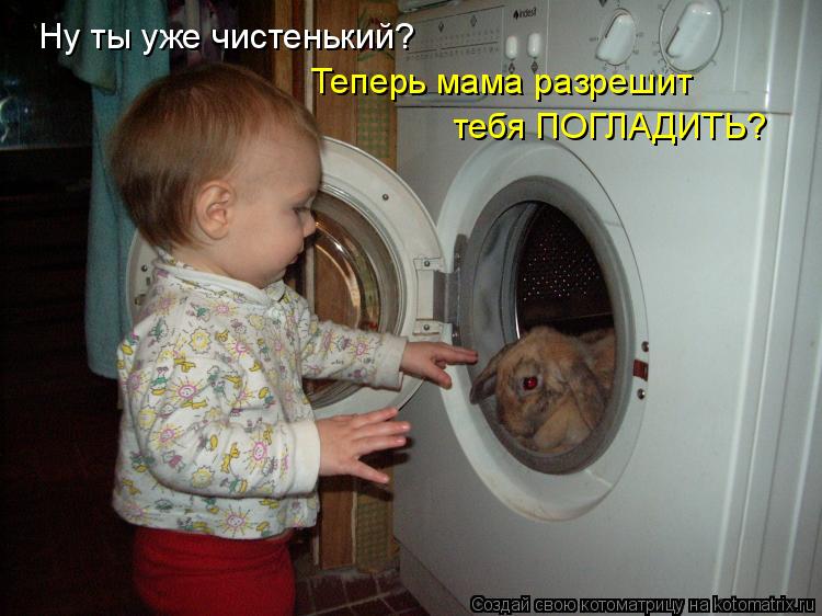 Ну ты уже чистенький? Теперь мама разрешит тебя ПОГЛАДИТЬ?... Котоматрица: Ну ты уже чистенький? Теперь мама разрешит тебя ПОГЛАДИТЬ?