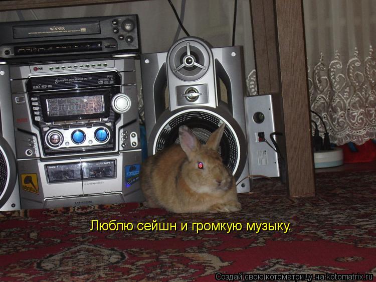 Котоматрица: Люблю сейшн и громкую музыку.