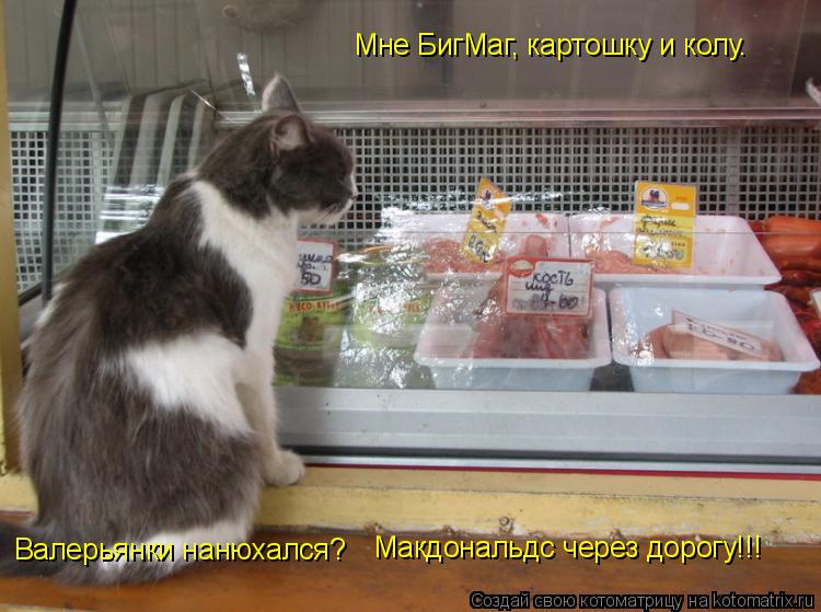 Котоматрица: Мне БигМаг, картошку и колу. Валерьянки нанюхался? Макдональдс через дорогу!!!