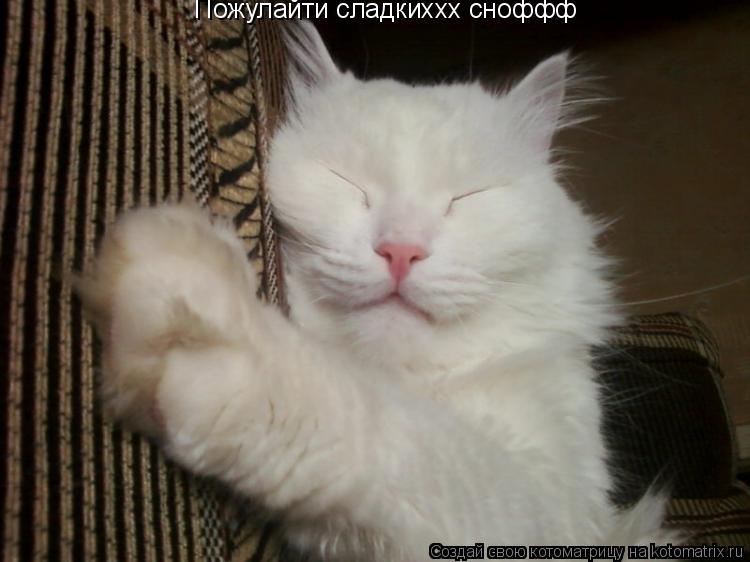 Котоматрица: Пожулайти сладкиххх сноффф... Хотя наверное уже поздновато.. Пожулайти сладкиххх сноффф