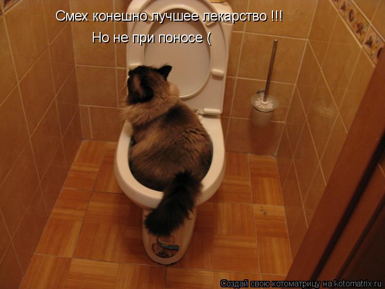 Смех конешно лучшее лекарство !!! Но не при поносе (... Котоматрица: Смех конешно лучшее лекарство !!! Но не при поносе (