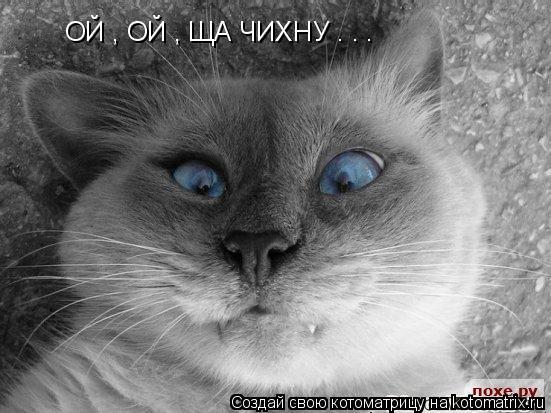Котоматрица: ОЙ , ОЙ , ЩА ЧИХНУ . . .