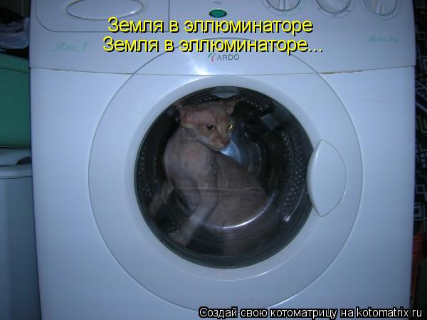 Земля в эллюминаторе Земля в эллюминаторе...... Котоматрица: Земля в эллюминаторе Земля в эллюминаторе...