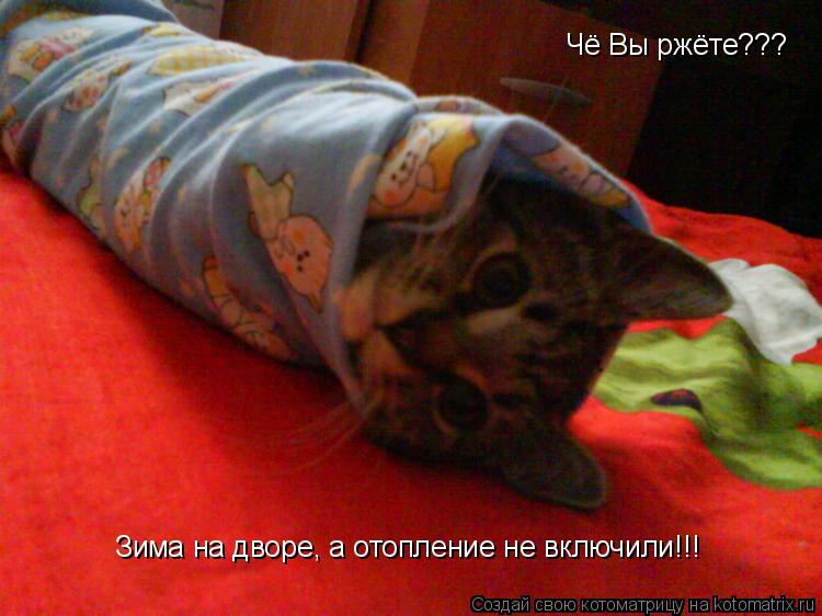 Чё Вы ржёте??? Зима на дворе, а отопление не включили!!!... Котоматрица: Чё Вы ржёте??? Зима на дворе, а отопление не включили!!!