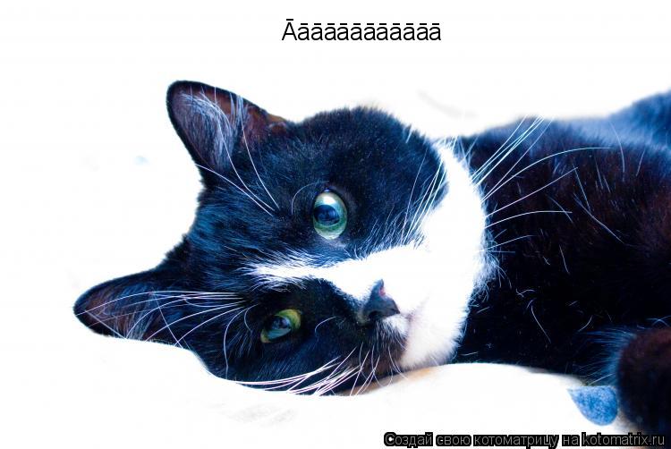 Котоматрица: &#256;&#257;&#257;&#257;&#257;&#257;&#257;&#257;&#257;&#257;&#257;&#257;