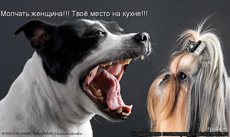 Молчать женщина!!! Твоё место на кухне!!!... Котоматрица: Молчать женщина!!! Твоё место на кухне!!!