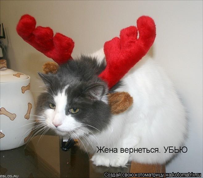 Жена вернеться. УБЬЮ... Котоматрица: Жена вернеться. УБЬЮ