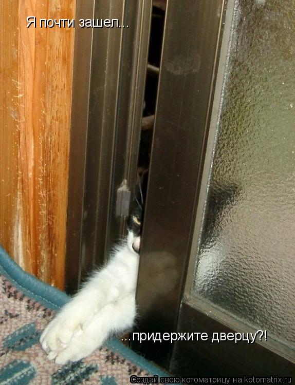 Я почти зашел... Я почти зашел... ...придержите дверцу?!... Котоматрица: Я почти зашел... Я почти зашел... ...придержите дверцу?!