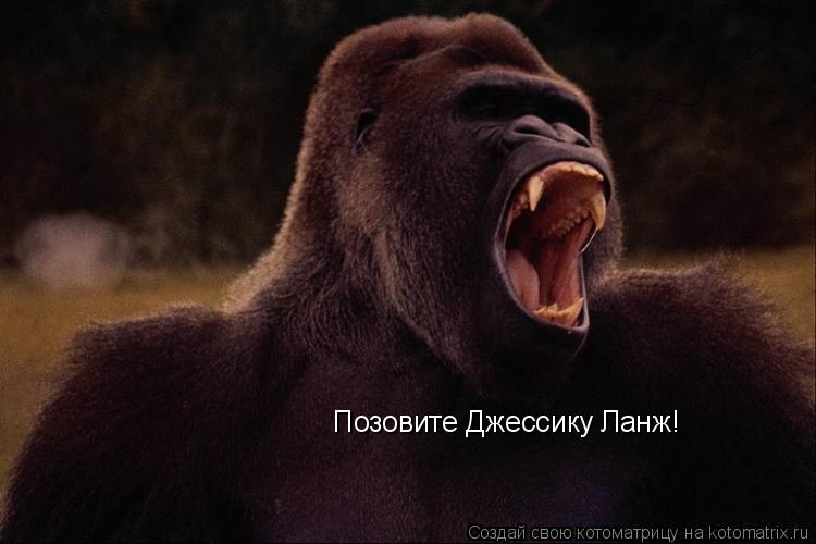 Позовите Джессику Ланж!... Котоматрица: Позовите Джессику Ланж!