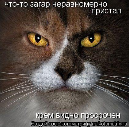 что-то загар неравномерно пристал крем видно просрочен... Котоматрица: что-то загар неравномерно пристал крем видно просрочен