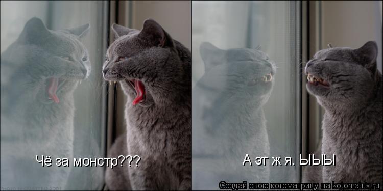 Чё за монстр??? А эт ж я. ЫЫЫ... Котоматрица: Чё за монстр??? А эт ж я. ЫЫЫ
