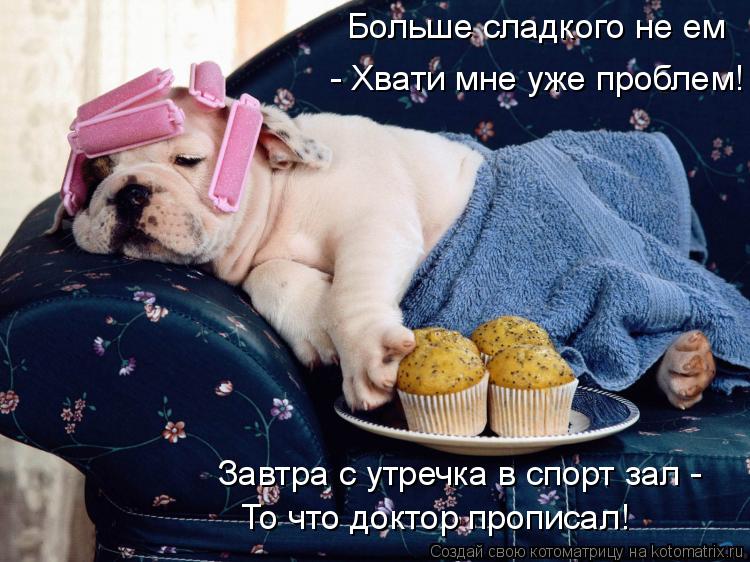 Больше сладкого не ем - Хвати мне уже проблем! Завтра с утречка в спорт зал - То что доктор прописал... Котоматрица: Больше сладкого не ем - Хвати мне уже проблем! Завтра с утречка в спорт зал - То что доктор прописал!