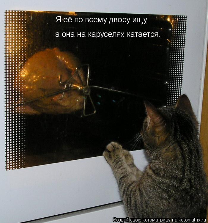 Я её по всему двору ищу, а она на каруселях катается.... Котоматрица: Я её по всему двору ищу, а она на каруселях катается.