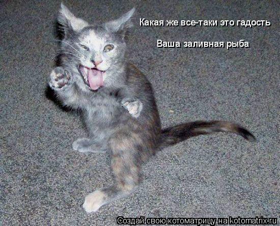 Какая же все-таки это гадость Ваша заливная рыба... Котоматрица: Какая же все-таки это гадость Ваша заливная рыба