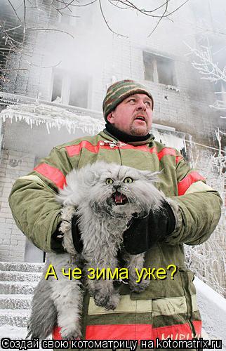 А че зима уже?... Котоматрица: А че зима уже?