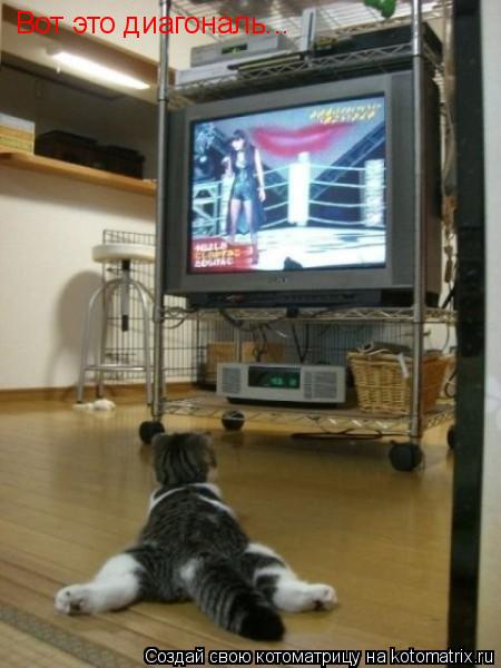 Вот это диагональ...... Котоматрица: Вот это диагональ...