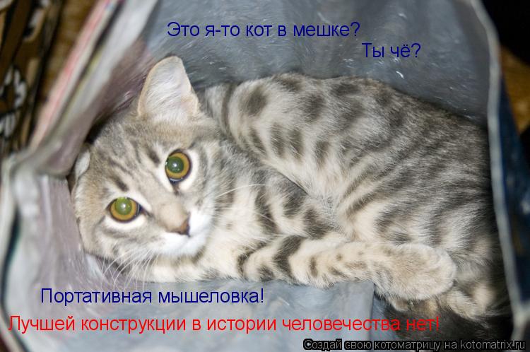Это я-то кот в мешке? Ты чё? Портативная мышеловка! Лучшей конструкции в истории человечества нет!... Котоматрица: Это я-то кот в мешке? Ты чё? Портативная мышеловка! Лучшей конструкции в истории человечества нет!
