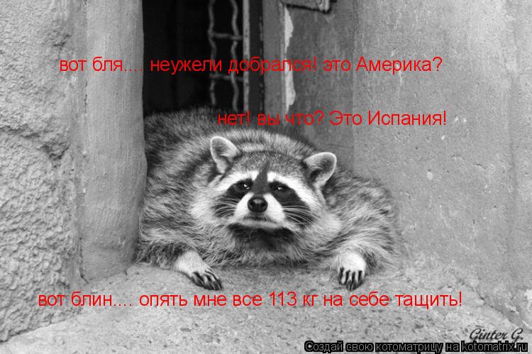 вот бля.... неужели добрался! это Америка? нет! вы что? Это Испания! вот блин.... опять мне все 113 к... Котоматрица: вот бля.... неужели добрался! это Америка? нет! вы что? Это Испания! вот блин.... опять мне все 113 кг на себе тащить!