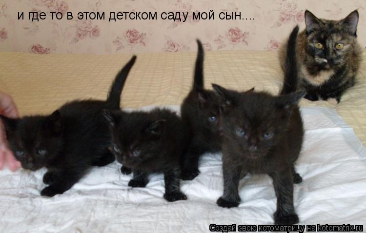 и где то в этом детском саду мой сын....... Котоматрица: и где то в этом детском саду мой сын....