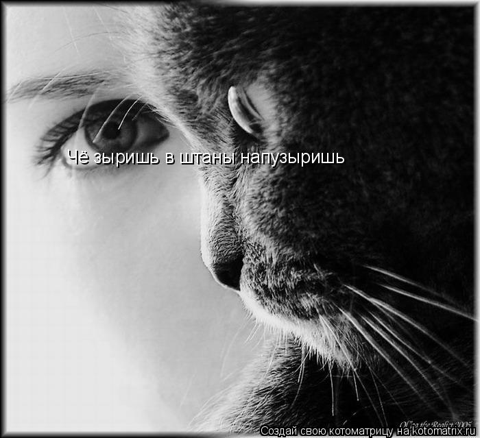 Чё зыришь в штаны напузыришь... Котоматрица: Чё зыришь в штаны напузыришь