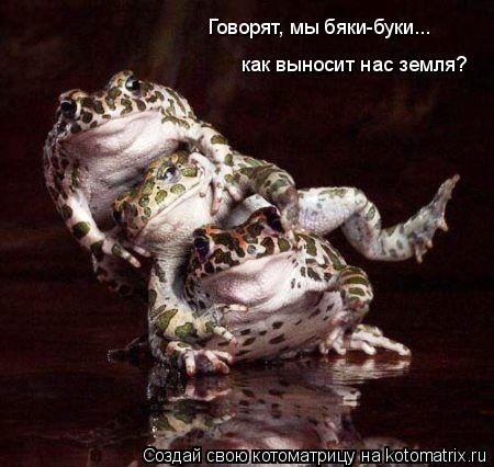 Говорят, мы бяки-буки... как выносит нас земля?... Котоматрица: Говорят, мы бяки-буки... как выносит нас земля?