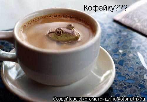 Кофейку???... Котоматрица: Кофейку???