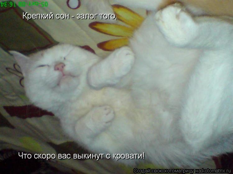Крепкий сон - залог того, Что скоро вас выкинут с кровати!... Котоматрица: Крепкий сон - залог того, Что скоро вас выкинут с кровати!