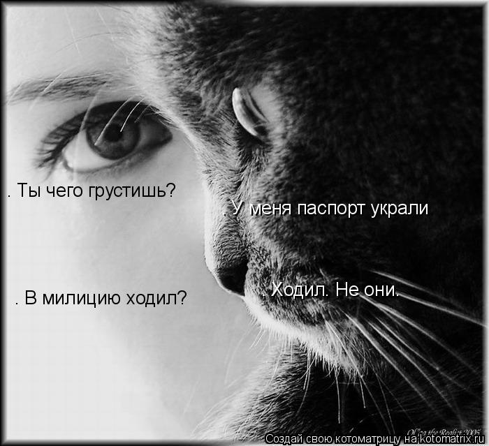 Котоматрица: — Ты чего грустишь? — В милицию ходил? — Ходил… Не они… — У меня паспорт украли