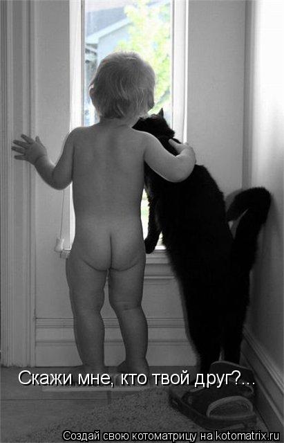 Скажи мне, кто твой друг?...... Котоматрица: Скажи мне, кто твой друг?...