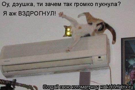 Оу, дэушка, ти зачем так громко пукнула?... Котоматрица: Оу, дэушка, ти зачем так громко пукнула?