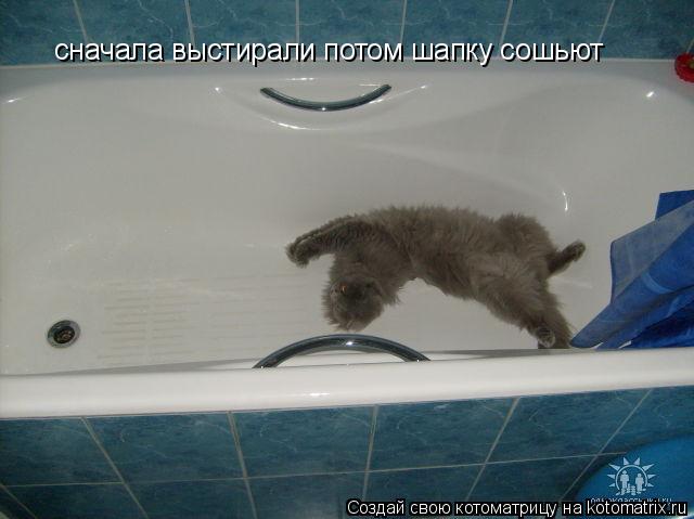 сначала выстирали потом шапку сошьют... Котоматрица: сначала выстирали потом шапку сошьют