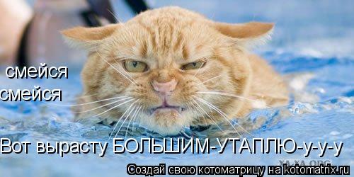 Котоматрица: Вот вырасту БОЛЬШИМ-УТАПЛЮ-у-у-у смейся смейся