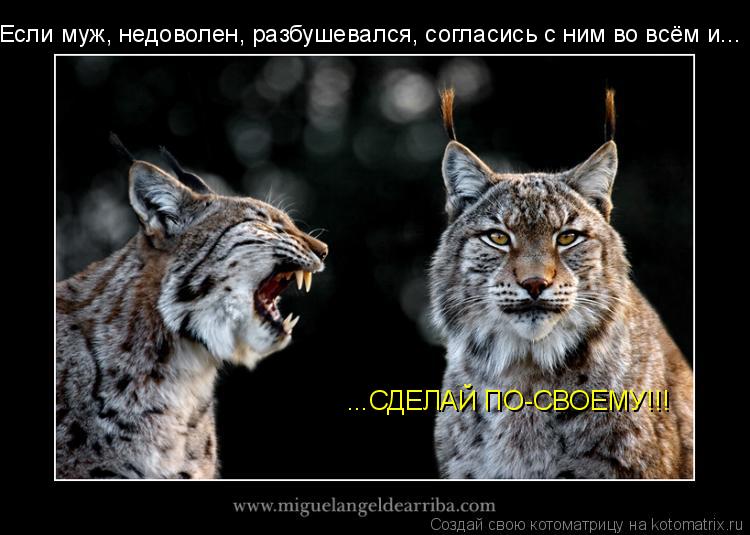 Котоматрица: Если муж, недоволен, разбушевался, согласись с ним во всём и... ...СДЕЛАЙ ПО-СВОЕМУ!!!